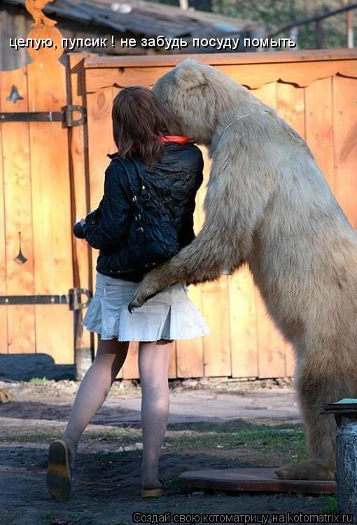 целую, пупсик ! не забудь посуду помыть... Котоматрица: целую, пупсик ! не забудь посуду помыть