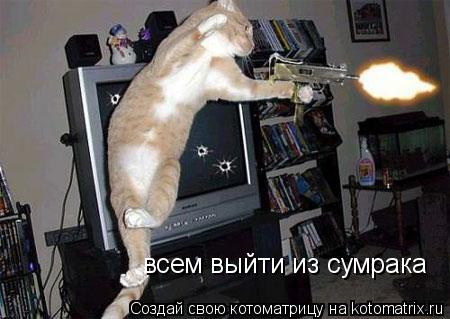 всем выйти из сумрака... Котоматрица: всем выйти из сумрака