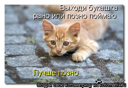 Выходи букашка рано или позно поймаю Лучше позно... Котоматрица: Выходи букашка рано или позно поймаю Лучше позно