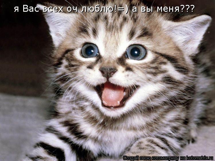 я Вас всех оч люблю!=) а вы меня???... Котоматрица: я Вас всех оч люблю!=) а вы меня???
