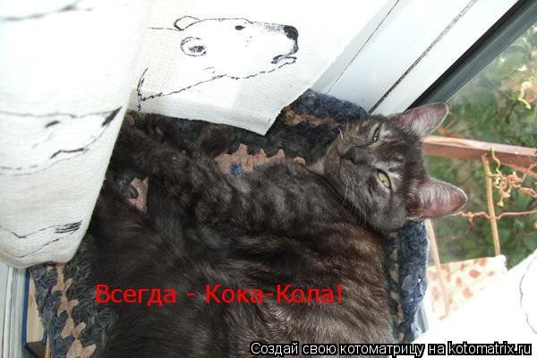 Котоматрица: Всегда - Кока-Кола!