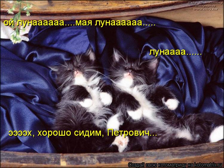 ой лунаааааа....мая лунаааааа..... лунаааа...... ээээх, хорошо сидим, Петрович...... Котоматрица: ой лунаааааа....мая лунаааааа..... лунаааа...... ээээх, хорошо сидим, Петрович...