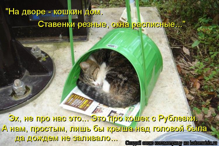 "На дворе - кошкин дом. Ставенки резные, окна расписные..." Эх, не про нас это... Это про кошек с Руб... Котоматрица: "На дворе - кошкин дом. Ставенки резные, окна расписные..." Эх, не про нас это... Это про кошек с Рублевки… А нам, простым, лишь бы крыша над голов