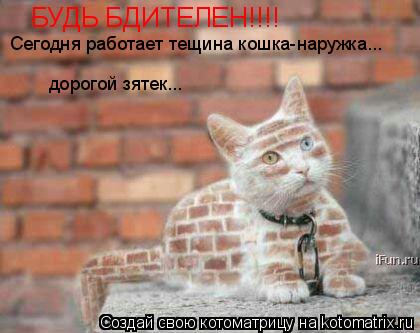 БУДЬ БДИТЕЛЕН!!!! Сегодня работает тещина кошка-наружка...х Сегодня работает тещина кошка-наружка...х... Котоматрица: БУДЬ БДИТЕЛЕН!!!! Сегодня работает тещина кошка-наружка...х Сегодня работает тещина кошка-наружка...х Сегодня работает тещина кошка-наружка...