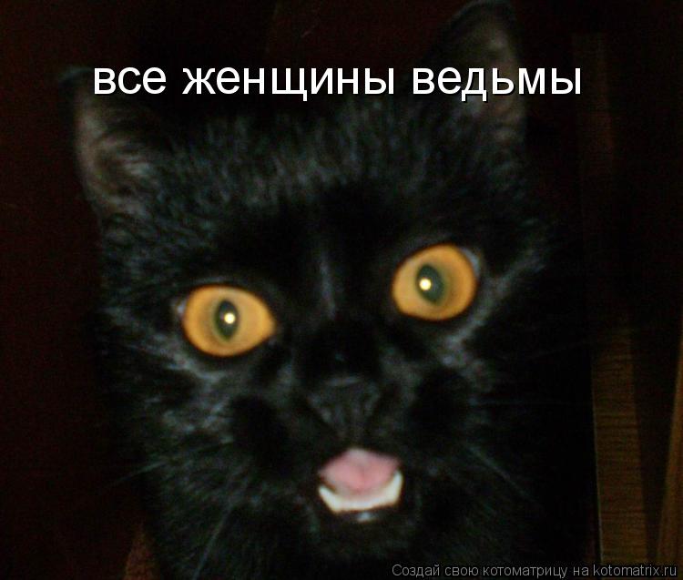 все женщины ведьмы... Котоматрица: все женщины ведьмы