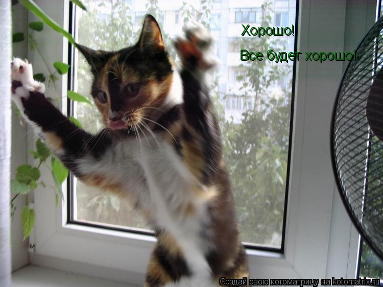 Хорошо! Все будет хорошо!... Котоматрица: Хорошо! Все будет хорошо!