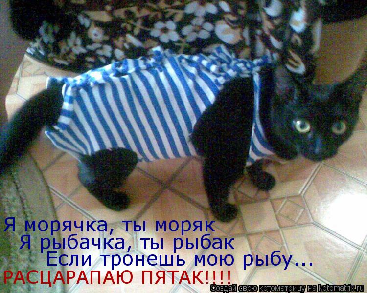 Я морячка, ты моряк Я рыбачка, ты рыбак Если тронешь мою рыбу... РАСЦАРАПАЮ ПЯТАК!!!!... Котоматрица: Я морячка, ты моряк Я рыбачка, ты рыбак Если тронешь мою рыбу... РАСЦАРАПАЮ ПЯТАК!!!!