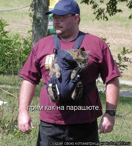 прям как на парашюте............... Котоматрица: прям как на парашюте............