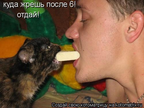 куда жрешь после 6! отдай!... Котоматрица: куда жрешь после 6! отдай!