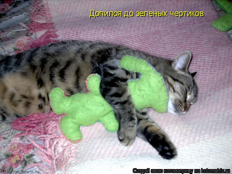 Допился до зеленых чертиков... Котоматрица: Допился до зеленых чертиков