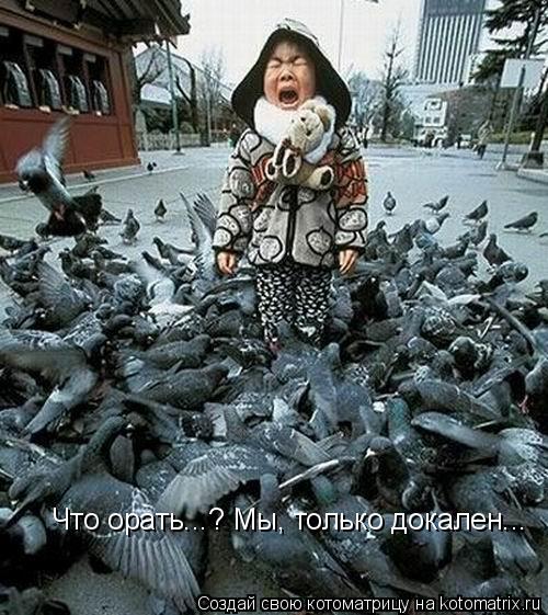 Что орать...? Мы, только докален...... Котоматрица: Что орать...? Мы, только докален...
