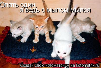 Опять один, я ведь с мылом мылся... Котоматрица: Опять один, я ведь с мылом мылся