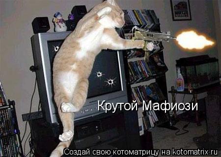 Крутой Мафиози... Котоматрица: Крутой Мафиози