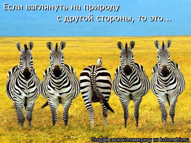 Если взглянуть на природу с другой стороны, то это...... Котоматрица: Если взглянуть на природу с другой стороны, то это...