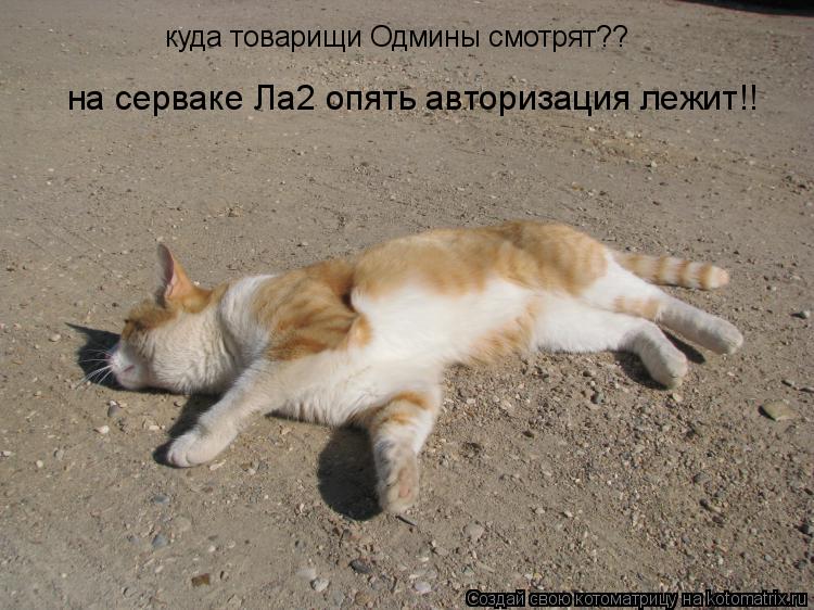 куда товарищи Одмины смотрят?? на серваке Ла2 опять авторизация лежит!!... Котоматрица: куда товарищи Одмины смотрят?? на серваке Ла2 опять авторизация лежит!!