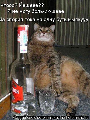 Чтооо? Йещёёё?? Я не могу боль-ик-шеее йа спорил тока на одну бутыыылкууу... Котоматрица: Чтооо? Йещёёё?? Я не могу боль-ик-шеее йа спорил тока на одну бутыыылкууу