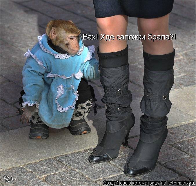 Вах! Хде сапожки брала?!... Котоматрица: Вах! Хде сапожки брала?!