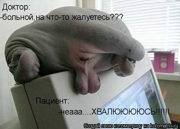 Доктор: -больной,на что-то жалуетесь??? Пациент: -неааа....ХВАЛЮЮЮЮСЬ!!!!!!... Котоматрица: Доктор: -больной,на что-то жалуетесь??? Пациент: -неааа....ХВАЛЮЮЮЮСЬ!!!!!!