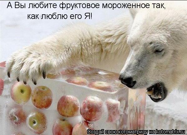 А Вы любите фруктовое мороженное так, как люблю его Я!... Котоматрица: А Вы любите фруктовое мороженное так, как люблю его Я!