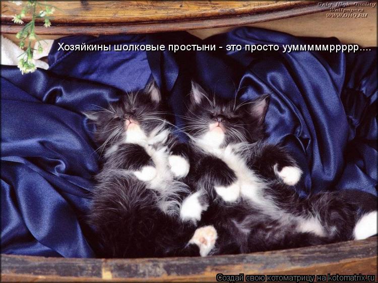 Хозяйкины шолковые простыни - это просто уумммммррррр....... Котоматрица: Хозяйкины шолковые простыни - это просто уумммммррррр....