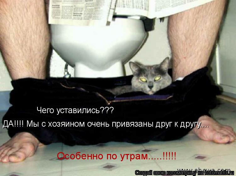 Чего уставились??? ДА!!!! Мы с хозяином очень привязаны друг к другу.... Особенно по утрам.....!!!!!... Котоматрица: Чего уставились??? ДА!!!! Мы с хозяином очень привязаны друг к другу.... Особенно по утрам.....!!!!!