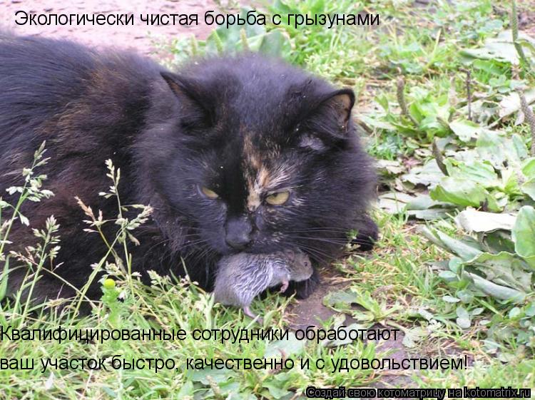 Экологически чистая борьба с грызунами ваш участок быстро, качественно и с удовольствием! Квалифициро... Котоматрица: Экологически чистая борьба с грызунами ваш участок быстро, качественно и с удовольствием! Квалифицированные сотрудники обработают