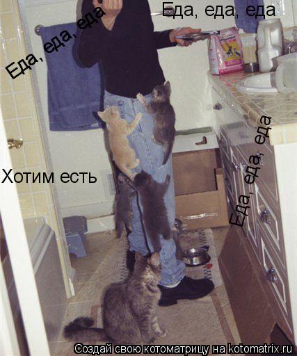Еда, еда, еда Еда, еда, еда Еда, еда, еда Еда, еда, еда Хотим есть... Котоматрица: Еда, еда, еда Еда, еда, еда Еда, еда, еда Еда, еда, еда Хотим есть