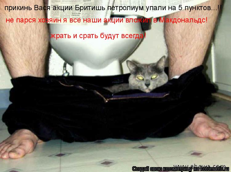 прикинь Вася акции Бритишь петролиум упали на 5 пунктов...!! не парся хозяин я все наши акции вложил ... Котоматрица: прикинь Вася акции Бритишь петролиум упали на 5 пунктов...!! не парся хозяин я все наши акции вложил в Макдональдс! жрать и срать будут всегда!