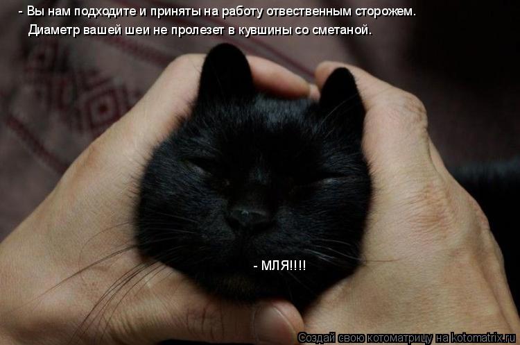 - Вы нам подходите и приняты на работу отвественным сторожем. Диаметр вашей шеи не пролезет в кувшины... Котоматрица: - Вы нам подходите и приняты на работу отвественным сторожем. Диаметр вашей шеи не пролезет в кувшины со сметаной. - МЛЯ!!!!