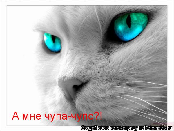 А мне чупа-чупс?!... Котоматрица: А мне чупа-чупс?!
