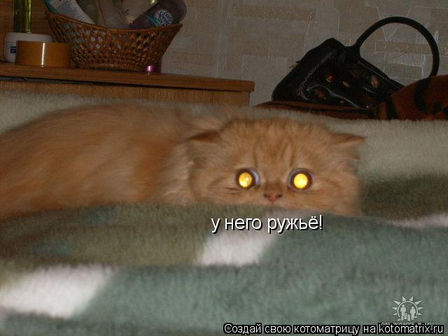 у него ружьё!... Котоматрица: у него ружьё!