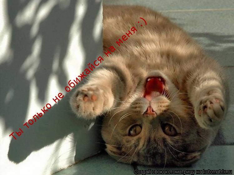 Ты только не обижайся на меня :)... Котоматрица: Ты только не обижайся на меня :)