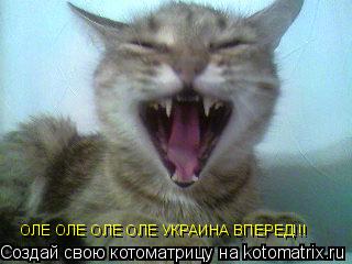ОЛЕ ОЛЕ ОЛЕ ОЛЕ УКРАИНА ВПЕРЕД!!!... Котоматрица: ОЛЕ ОЛЕ ОЛЕ ОЛЕ УКРАИНА ВПЕРЕД!!!
