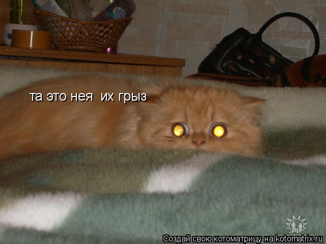 та это нея их грыз... Котоматрица: та это нея их грыз