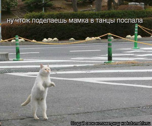 ну чтож поделаешь мамка в танцы послала... Котоматрица: ну чтож поделаешь мамка в танцы послала