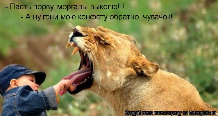 - Пасть порву, моргалы выколю!!! - Пасть порву, моргалы выколю!!! - А ну гони мою конфету обратно, чу... Котоматрица: - Пасть порву, моргалы выколю!!! - Пасть порву, моргалы выколю!!! - А ну гони мою конфету обратно, чувачок!