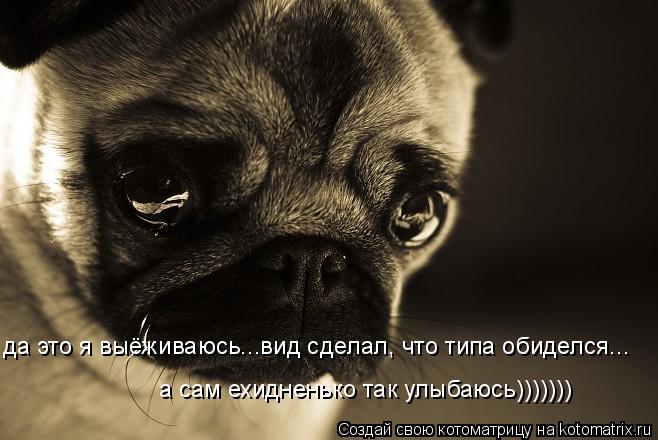 да это я выёживаюсь...вид сделал, что типа обиделся... а сам ехидненько так улыбаюсь)))))))... Котоматрица: да это я выёживаюсь...вид сделал, что типа обиделся... а сам ехидненько так улыбаюсь)))))))
