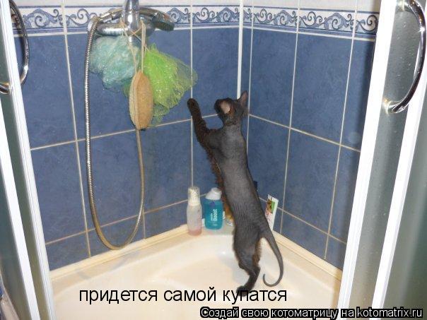 придется самой купатся... Котоматрица: придется самой купатся