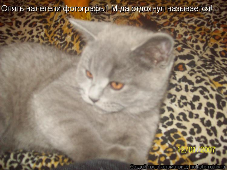 Опять налетели фотографы! М-да отдохнул называется!... Котоматрица: Опять налетели фотографы! М-да отдохнул называется!