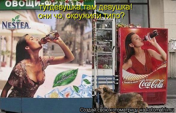 тутдевушка,там девушка! они чо, окружили типо?... Котоматрица: тутдевушка,там девушка! они чо, окружили типо?