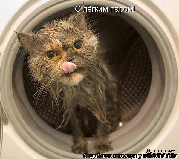 С лёгким паром!... Котоматрица: С лёгким паром!