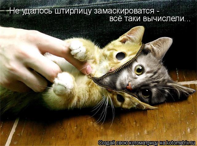 Не удалось штирлицу замаскироватся - всё таки вычислели...... Котоматрица: Не удалось штирлицу замаскироватся - всё таки вычислели...