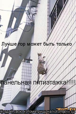 Лучше гор может быть только панельная пятиэтажка!!!!!... Котоматрица: Лучше гор может быть только панельная пятиэтажка!!!!!