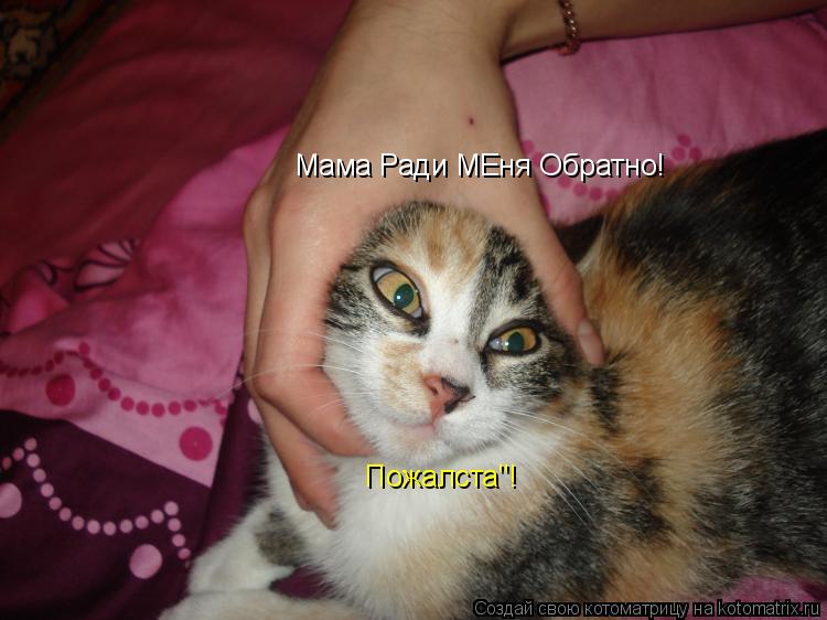 Мама Ради МЕня Обратно! Пожалста"!... Котоматрица: Мама Ради МЕня Обратно! Пожалста"!