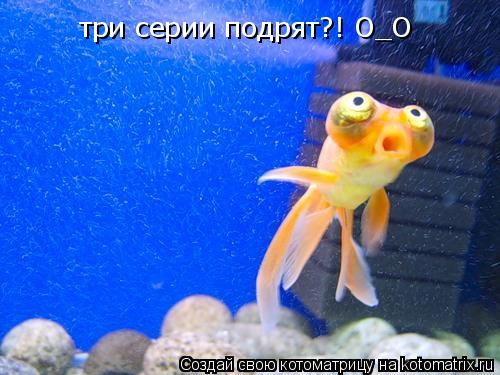 три серии подрят?! О_О... Котоматрица: три серии подрят?! О_О