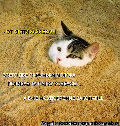- ОТ КЛЯТИ ХАЗЯЕВА!!! ВСЕГО ДВЕ СКРЫНЬКИ МОЛОКА ПОЛИЗАВ ТА ПАЛКУ КОВБАСЫ,,, А ВЖЕ НА УДОБРЕНИЕ ЗАКО... Котоматрица: - ОТ КЛЯТИ ХАЗЯЕВА!!! ВСЕГО ДВЕ СКРЫНЬКИ МОЛОКА ПОЛИЗАВ ТА ПАЛКУ КОВБАСЫ,,, А ВЖЕ НА УДОБРЕНИЕ ЗАКОПАЛЫ...