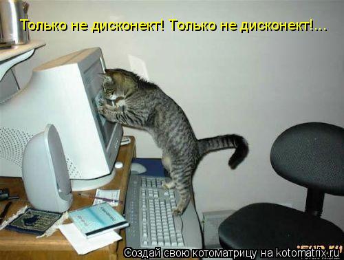 Котоматрица: Только не дисконект! Только не дисконект!...