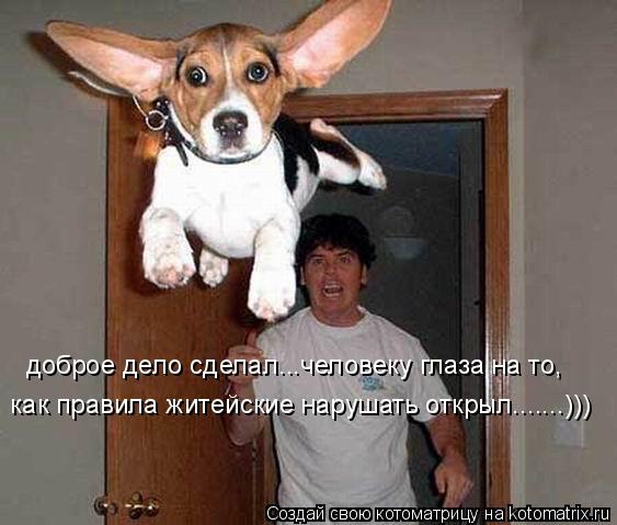 доброе дело сделал...человеку глаза на то, как правила житейские нарушать открыл.......)))... Котоматрица: доброе дело сделал...человеку глаза на то, как правила житейские нарушать открыл.......)))
