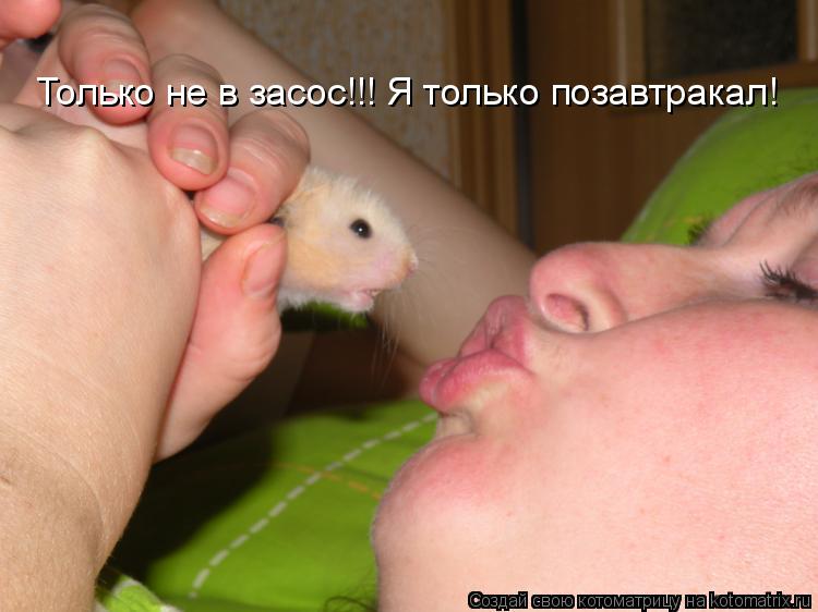 Только не в засос!!! Я только позавтракал!... Котоматрица: Только не в засос!!! Я только позавтракал!