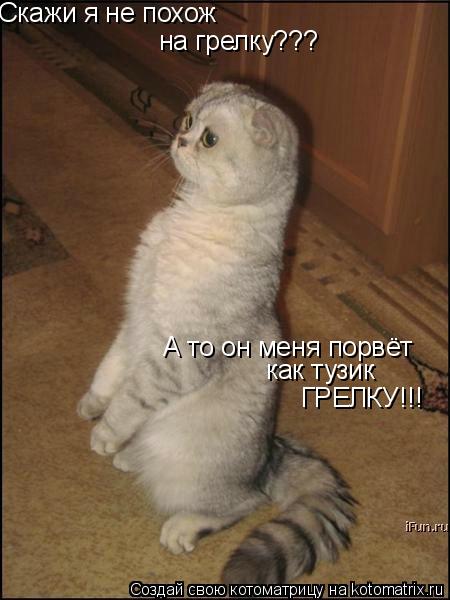 Скажи я не похож А то он меня порвёт как тузик ГРЕЛКУ!!! на грелку???... Котоматрица: Скажи я не похож А то он меня порвёт как тузик ГРЕЛКУ!!! на грелку???